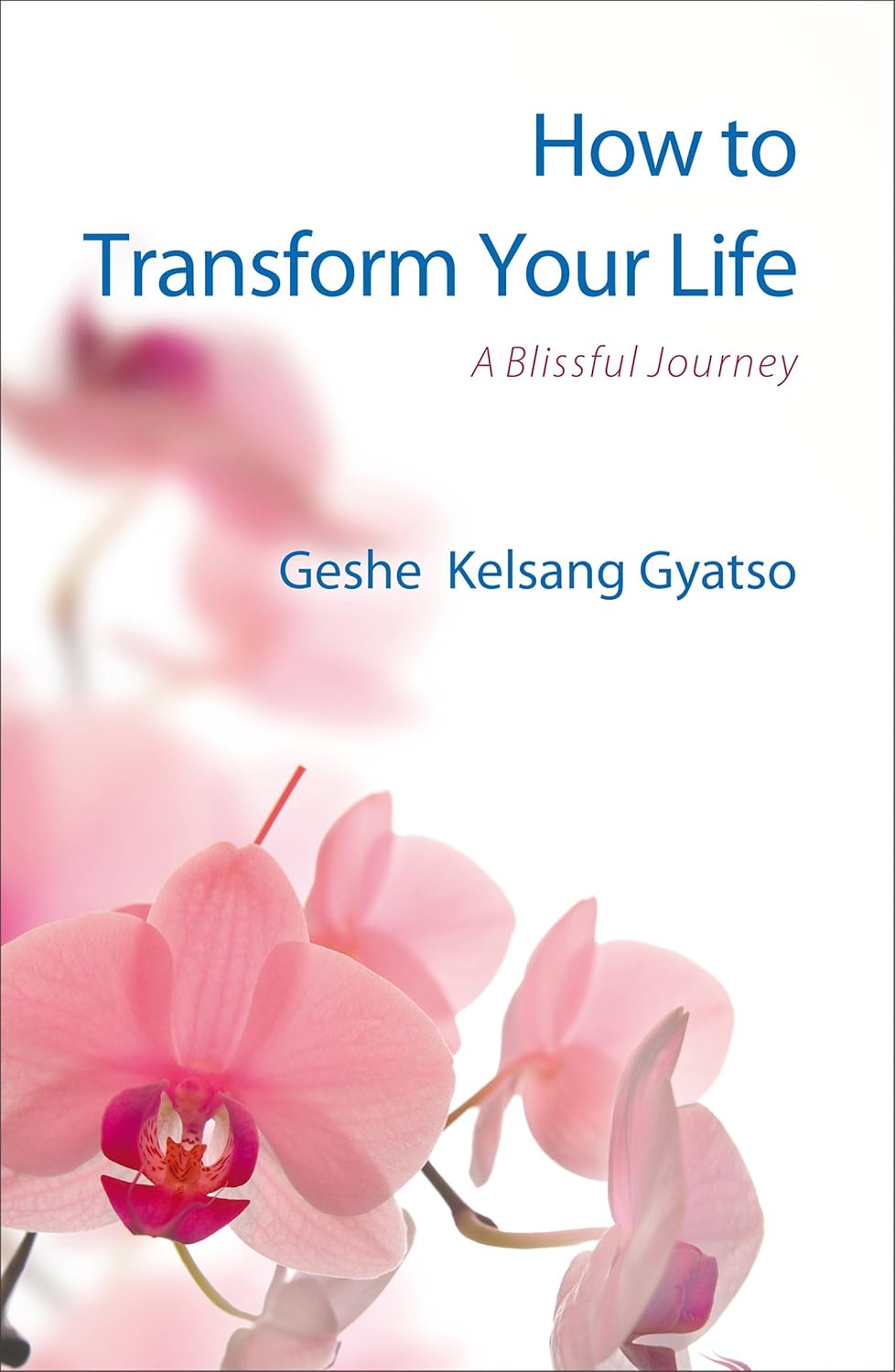 How To Transform Your Life: A Blissful Journey