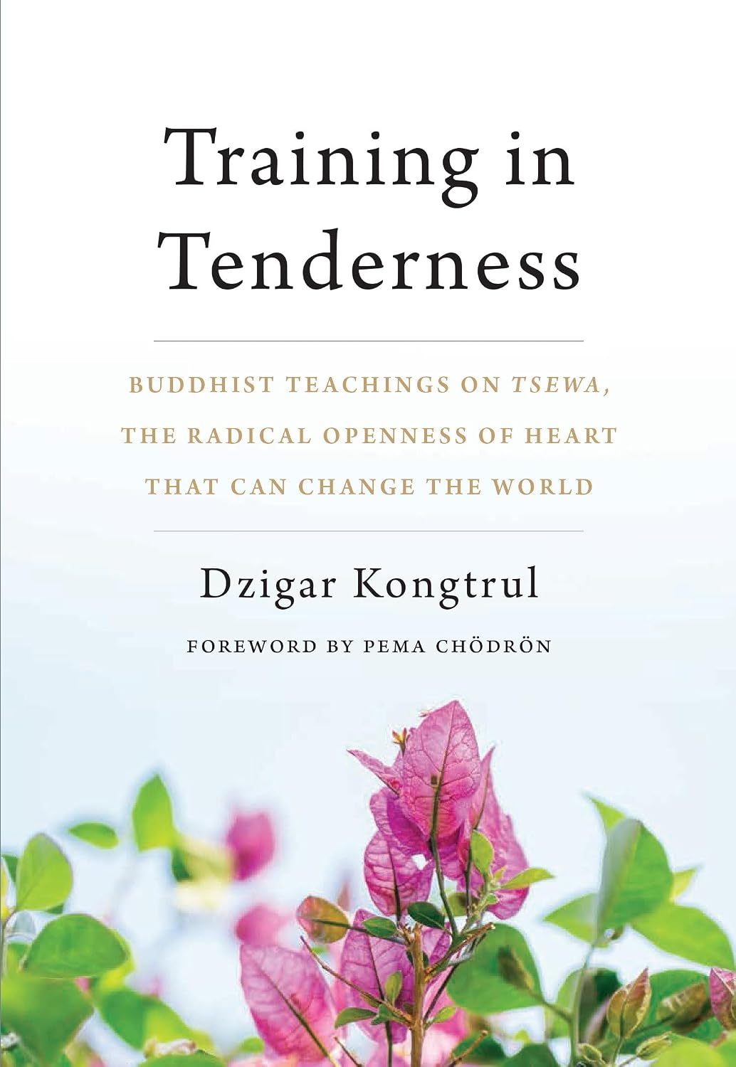 Training In Tenderness: Buddhist Teachings On Tsewa, The Radical Openness Of Heart That Can Change The World