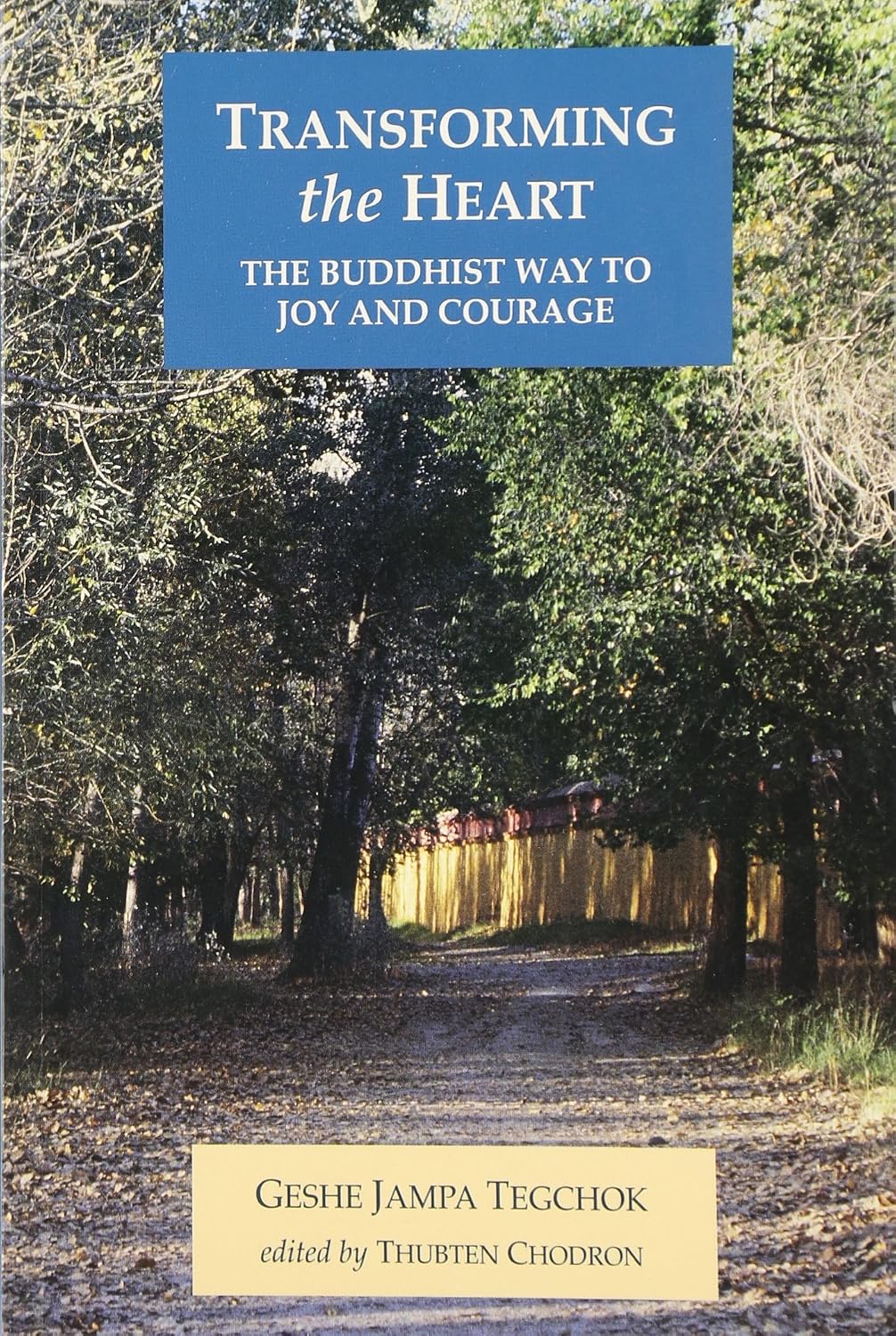 Transforming The Heart: The Buddhist Way To Joy And Courage