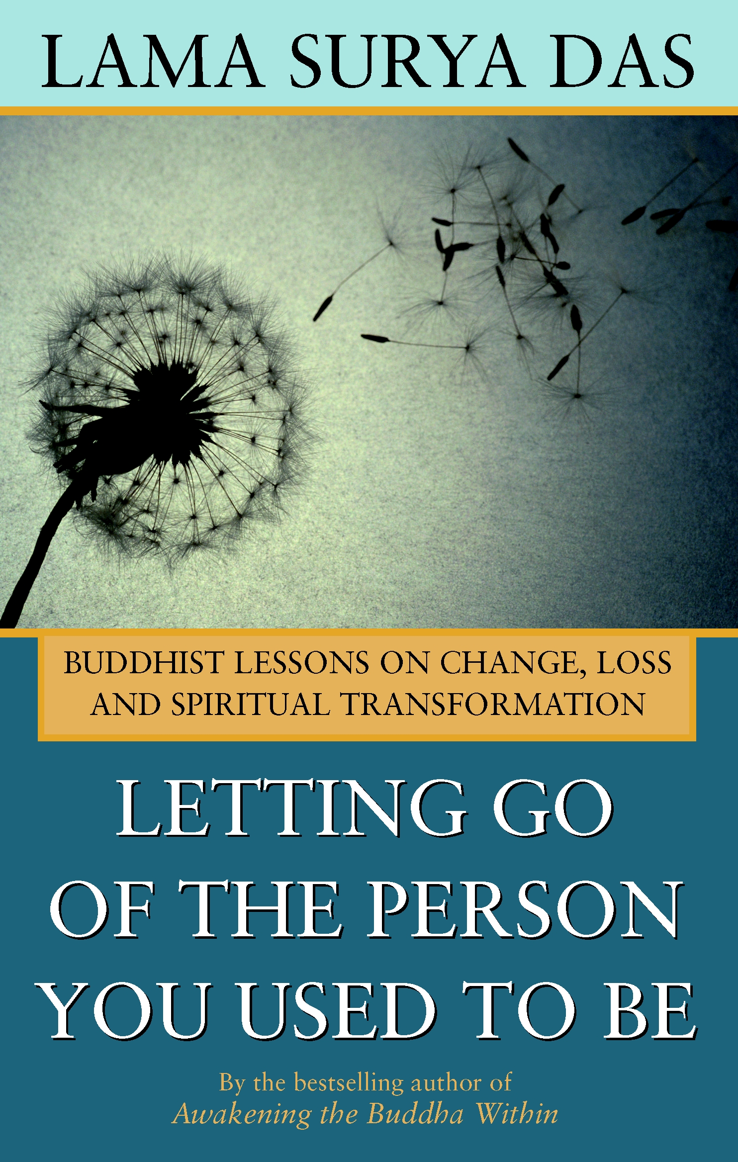 Letting Go Of The Person You Used To Be: Buddhist Lessons On Change, Loss And Spiritual Transformation
