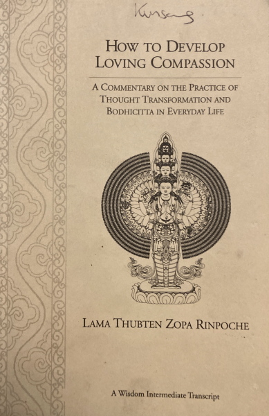 How To Develop Loving Compassion: A Commentary On The Practice Of Thought Transformation And Bodhicitta In Everyday Life