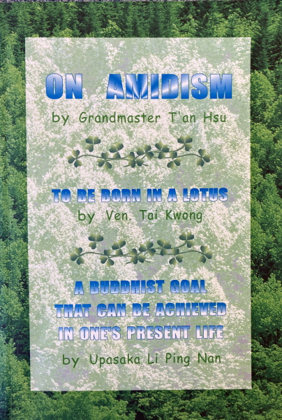 On Amidism